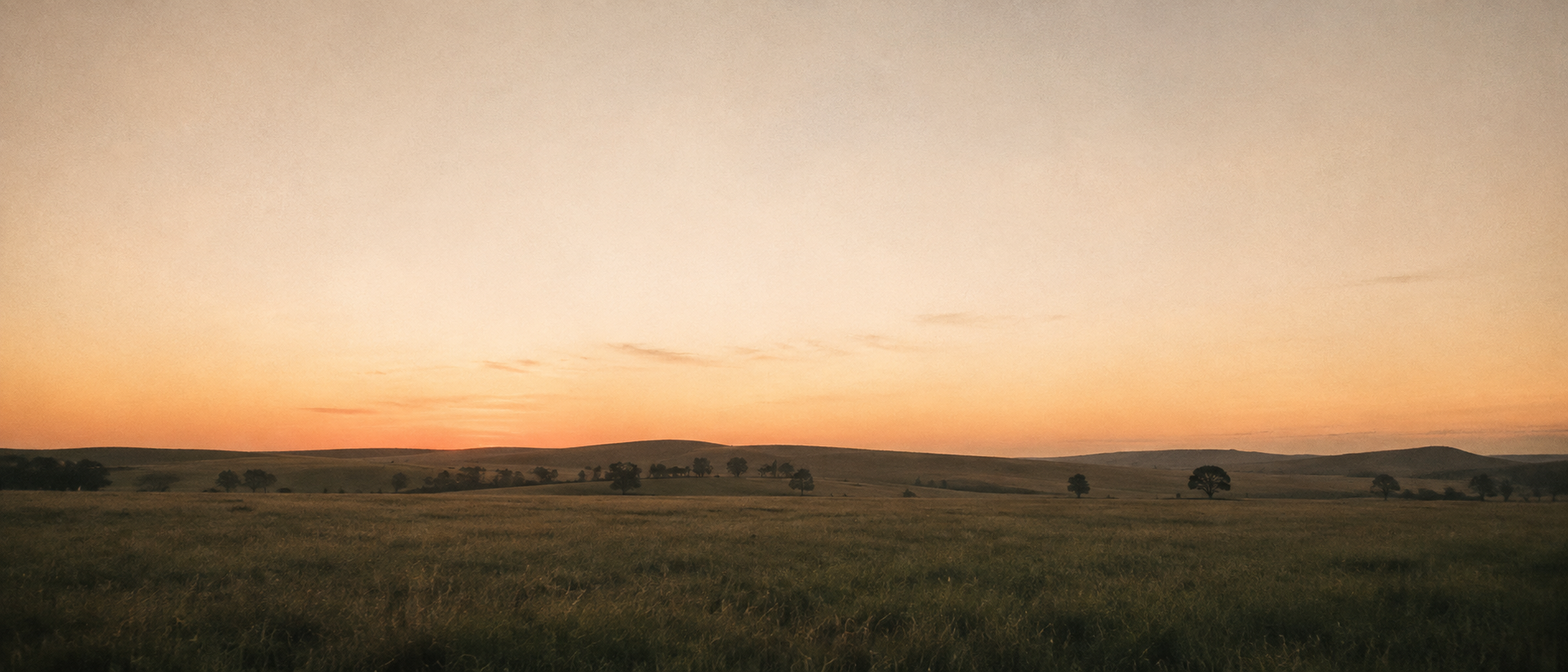 A quiet horizon at dusk in soft, warm light.